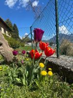 Chez Leny - B&B Monthey
