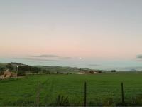 Peaceful 2bed pet-friendly cottage with farm views - Bed and Breakfast Moorreesburg