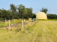 OMG!The Golden Egg - B&B Kiltimagh