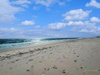 Beachfront Corner Condo with Pool Access & FREE ACTIVITIES - Ferienwohnung Gulf Shores
