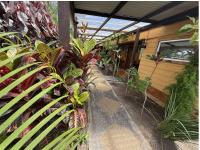 Hostal Vaihere - B&B Hanga Roa