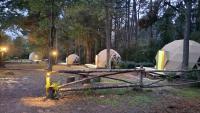 Aires de Berna - Bed and Breakfast Villa Berna