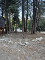 Ponderosa Pines Cabin with Treehouse and Zipline - Bed and Breakfast Springville