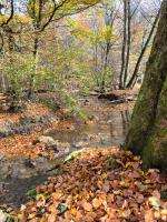 Ferienwohnung am Soonwald - Bed and Breakfast Ellern