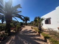 Michel Dos apartamentos - B&B Sant Ferran de ses Roques