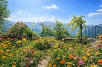 Nonna Teresa - the nature near Amalfi - Bed and Breakfast Figlino