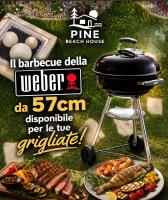 Pine Beach House - Villaggio Turistico con Piscina e Animazione - B&B Campofelice di Roccella