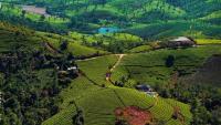 Tea Harmony Bunglow - B&B Vagamon