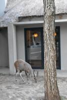 Mukaya Haven - B&B Marloth Park