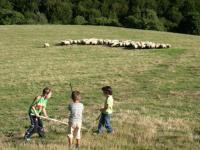 Casa Rural Lenco - B&B Zilbeti