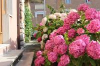 4 PINI - B&B