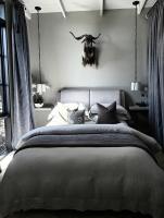 Frogs Pond - B&B Riddell