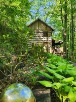 Duck Pond- Daily Bear Visits - B&B Gatlinburg