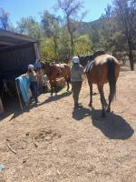 Chambre Deluxe Double ou Lits Jumeaux