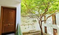 Las vides de moriles - B&B Córdoba