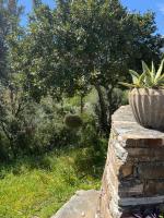La corse entre plage et rivière - Ferienwohnung Pietracorbara
