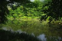 Karolówka Nad Osławą - Bed and Breakfast Czaszyn