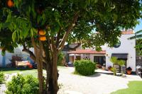 Villa familiar com piscina e jacuzzi a 30 min de Lisboa - Chambres d’hôtes Torres Vedras