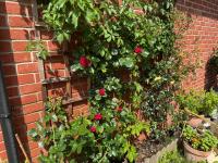 Chrysanthemum Drive stays - B&B Shinfield