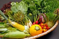 Kotsubokaigan Linca - B&B Zushi