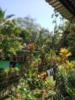 Cabinas mandarina - B&B Cocles