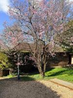 Hygge hideaway - B&B Kings Worthy