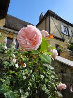 Le Tambourinet - B&B