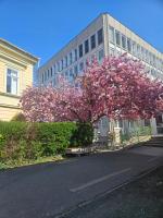 HelloWine Apartman II - Ferienwohnung Erlau