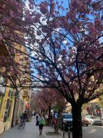 Super central flat in the very heart of the city - Chambres d'hôtes Skopje