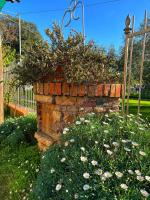 Casa Dolce Vita di Robé - fuga nella natura - B&B Luni