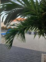 Ry's Villas - B&B Oranjestad