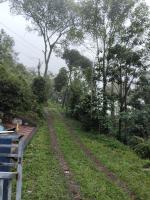 Valley Homestay - B&B Devikolam