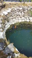 Small Stone Cottage - B&B Viro