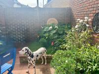 Penny Cottage - Historic Old Portsmouth - B&B Portsmouth