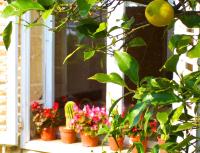 Beach House Cavtat - B&B Ragusa Vecchia
