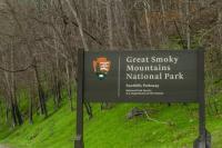 Splash Villa By Stony Brook Cabins - B&B Pigeon Forge