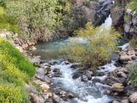 Sanabl Druze Hospitality - B&B ‘Ein Qunīya