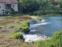 River Elephant - Bed and Breakfast Duga Resa