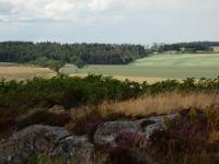 Rural retreat -Red lion cottage - B&B Ford