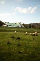 Resort Hvozd - B&B Krompach