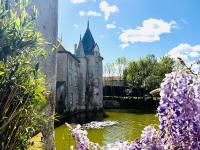 Chateau de la Preuille Gites - B&B Montaigu