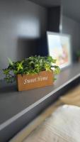 Studio Aconchegante com sacada em curitiba - B&B Curitiba