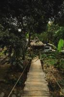Manigua Tayrona Hostel - B&B Santa Marta