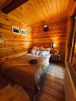Klejniki - domek na kolonii, domek w lesie - B&B Kleniki