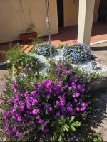 Porto Alabe casa levante - Ferienwohnung Porto Alabe