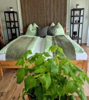 Tinyhouse mit Alpakas Ruhe &Natur-Waldminze Südburgenland Frühstück zubuchbar - B&B Eltendorf