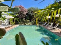 Il Pozzo d'Ischia Adults Only - Bilocale - B&B Forio