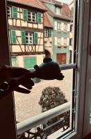 Petit cocon alsacien à Barr - Ferienwohnung Barr