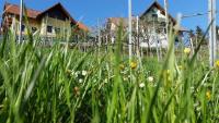 Weingut Gaube - B&B Leutschach