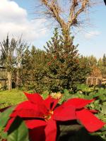 La Fattoria Barbini B&B - Bed and Breakfast